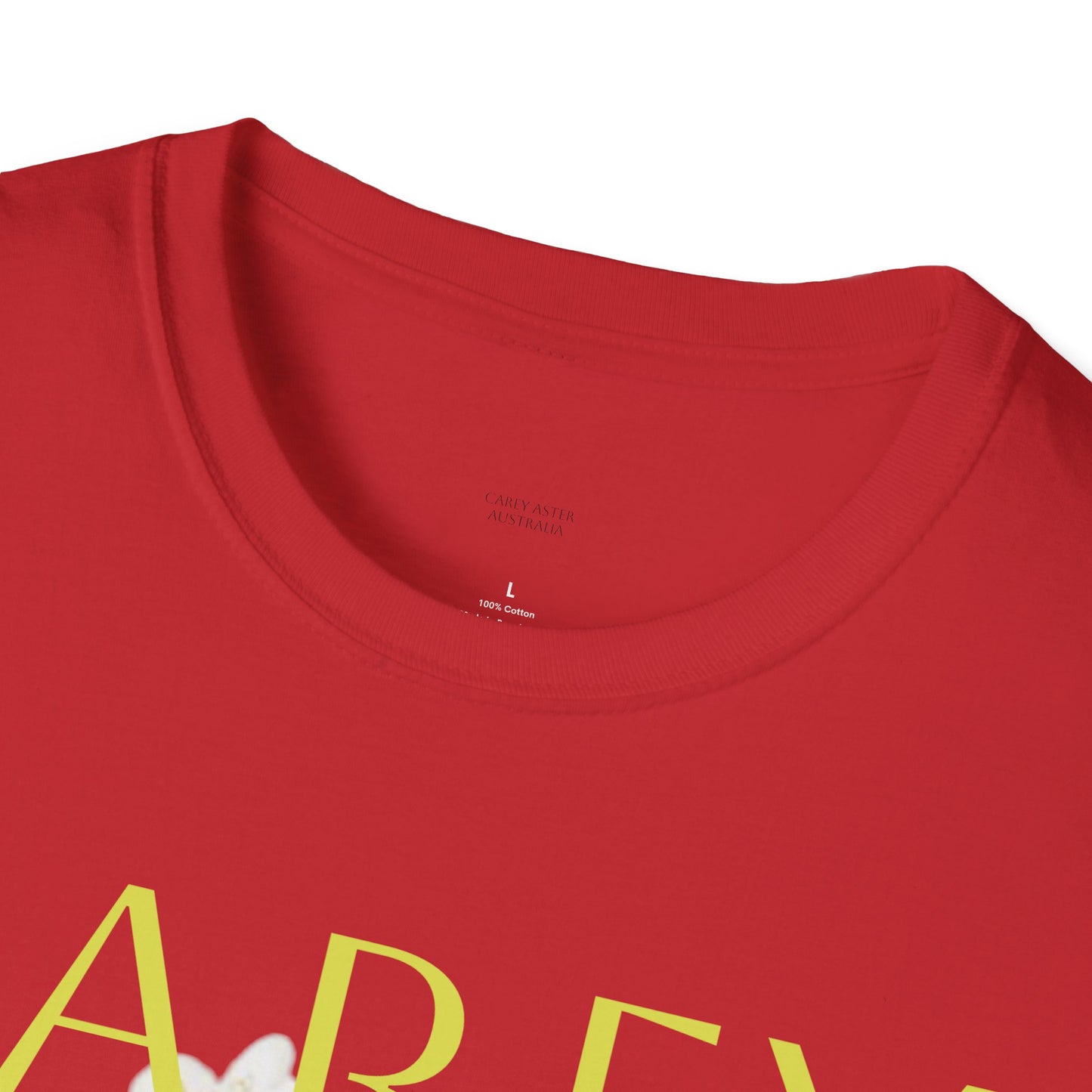 Floral Carey Aster T-Shirt, Spring Fashion Tee, Casual Everyday Wear, Gift for Nature Lovers, Aster Flower Shirt