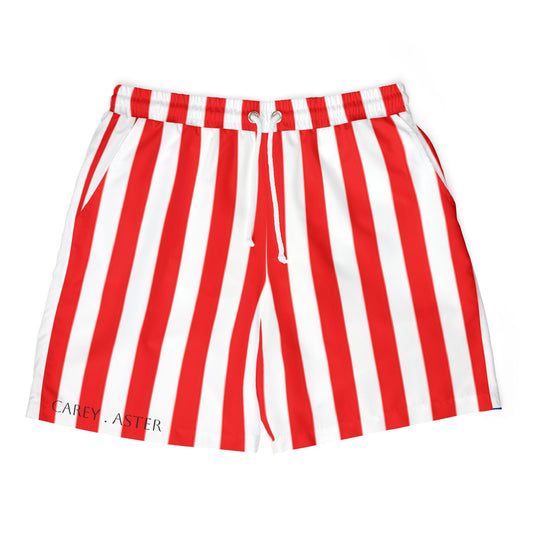 Carey Aster striped print shorts